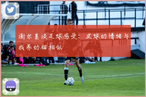 谢尔基谈足球感受：皮球的情绪与我养的猫相似