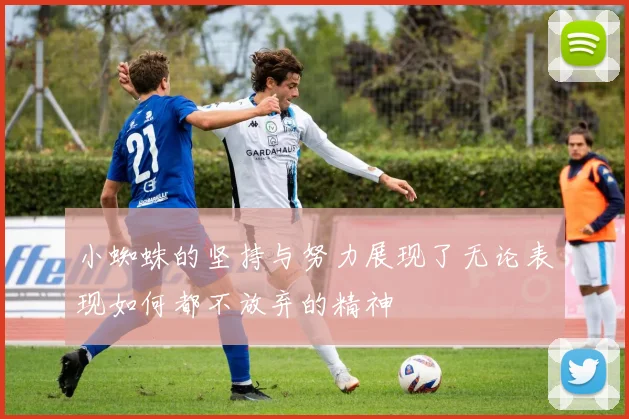小蜘蛛的坚持与努力展现了无论表现如何都不放弃的精神
