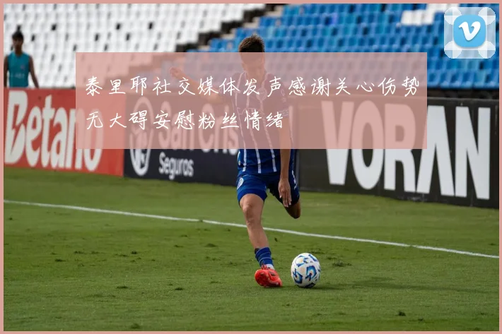 泰里耶社交媒体发声感谢关心伤势无大碍安慰粉丝情绪