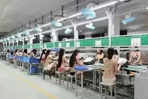 从基层做起 工厂锻炼与网络商务服务的现实与虚拟碰撞