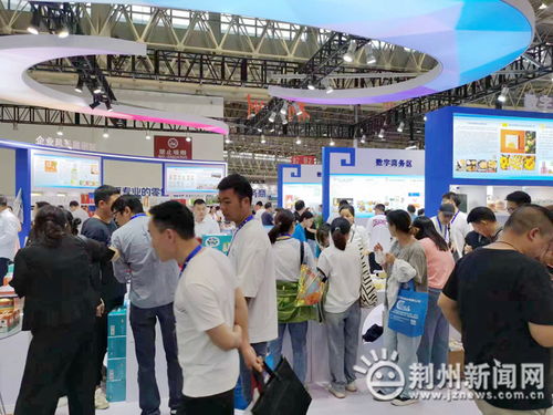 借力电商盛会，展现荆州活力——我市积极组织企业参与第八届武汉国际电子商务暨产业博览会