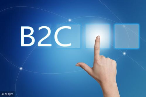 B2C 网络商务服务中的创造力与激烈竞争